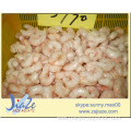 sea fishing shrimp 10/30 30/50 50/70 70/100
